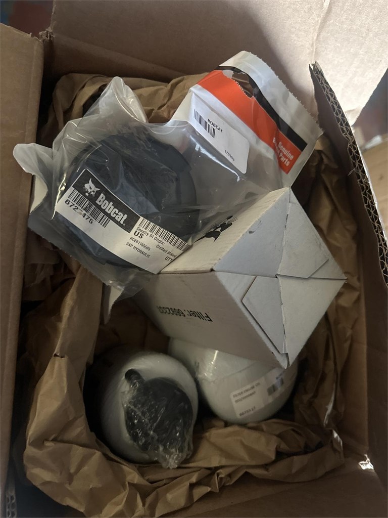 Foto 1 Revision para bobcat S 450